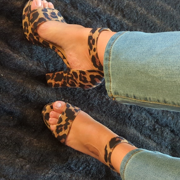 Leopard platforms - Picture 10 of 12